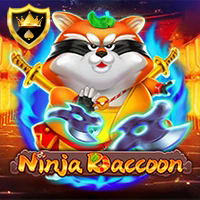 NINJA RACCOON