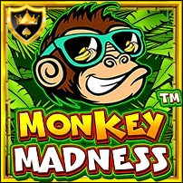 MONKEY MADNESS